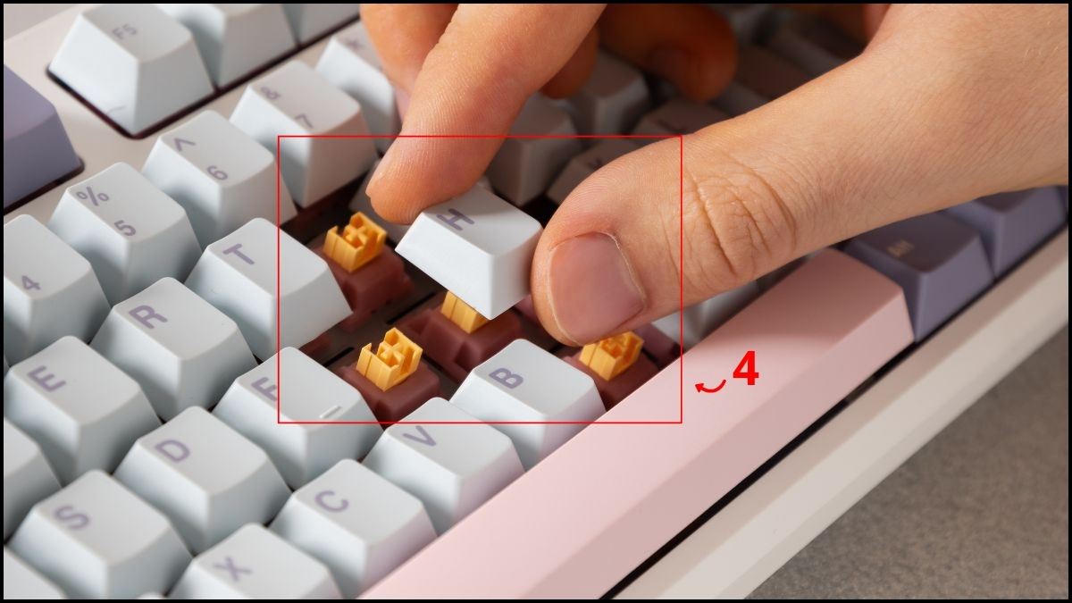 Lắp lại toàn bộ phím