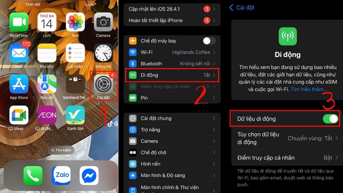 Tìm đến mục Di động và bật Dữ liệu di động