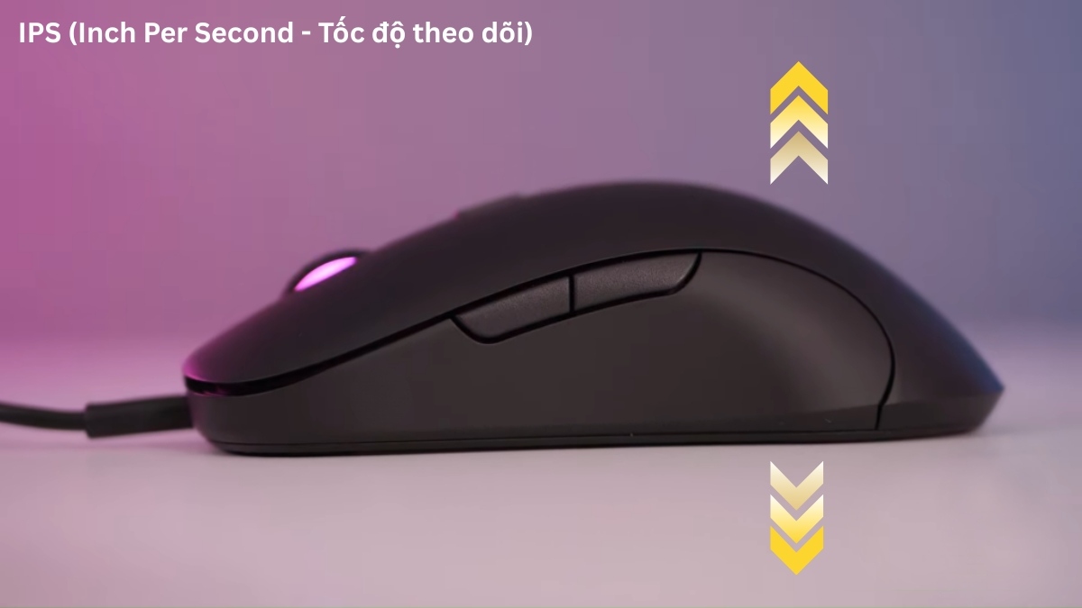 IPS giúp xác định mức nhanh nhất chuột có thể di chuyển