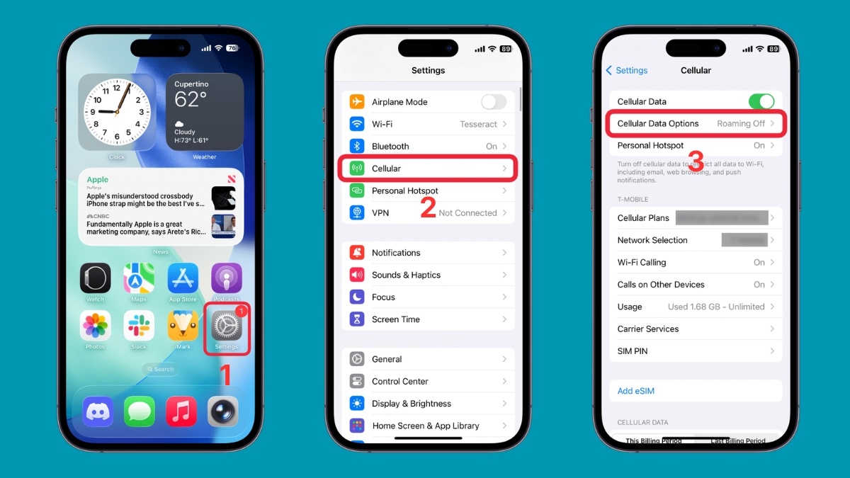 Tìm đến mục Tùy chọn dữ liệu di động (Cellular Data Options)