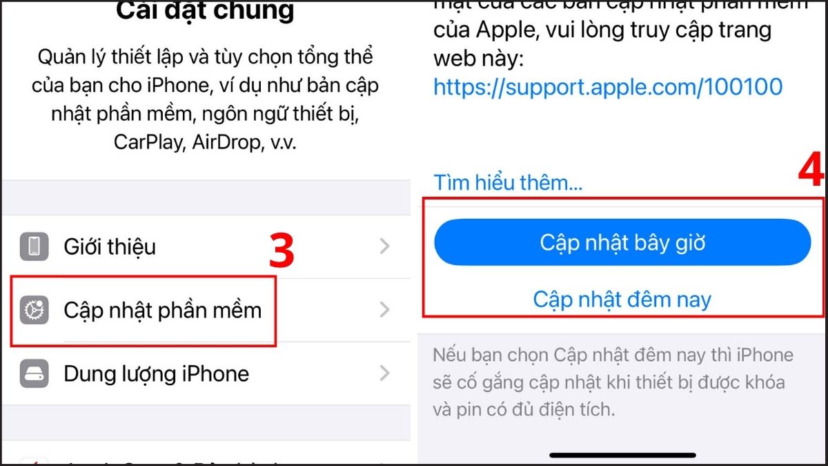 Vào mục Cập nhật phần mềm và Cập nhật bây giờ