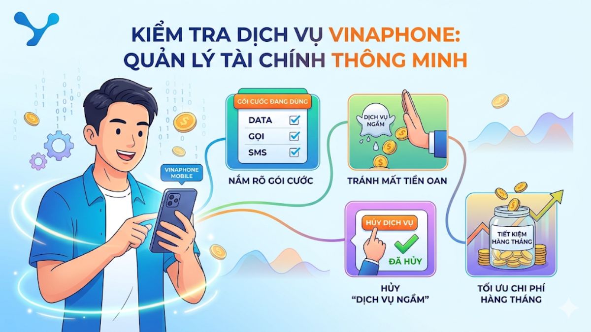 Lý do kiểm tra dịch vụ SIM VinaPhone