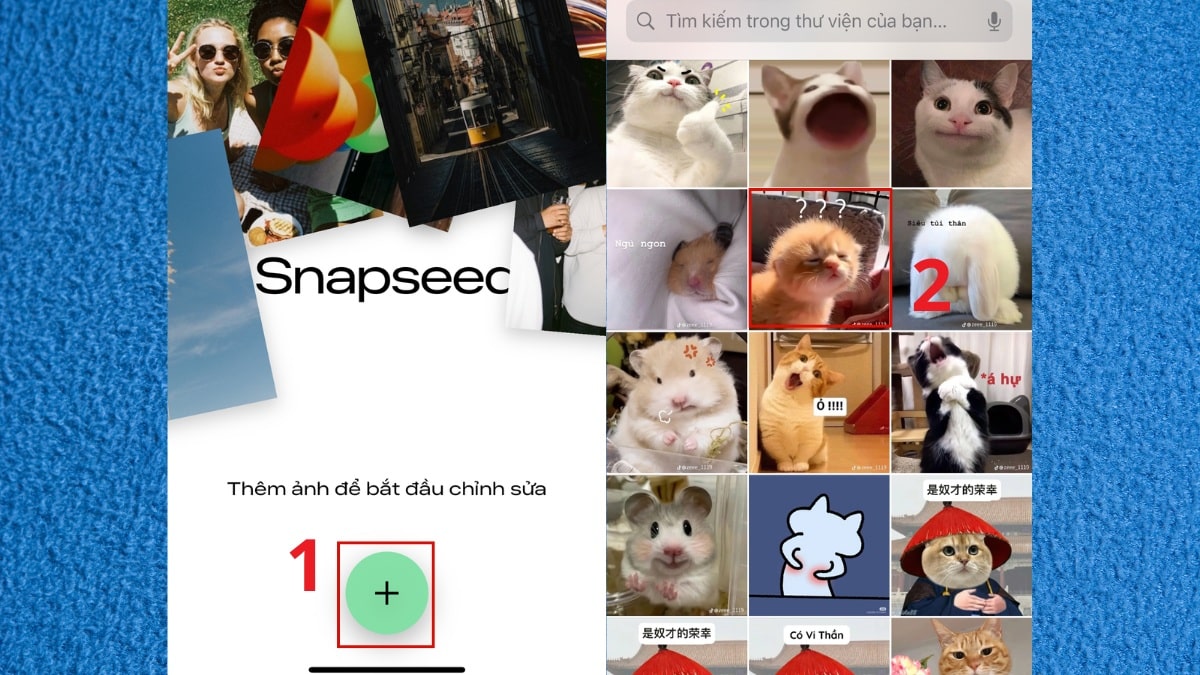 Mở ứng dụng Snapspeed và chọn vào hình ảnh từ thư viện