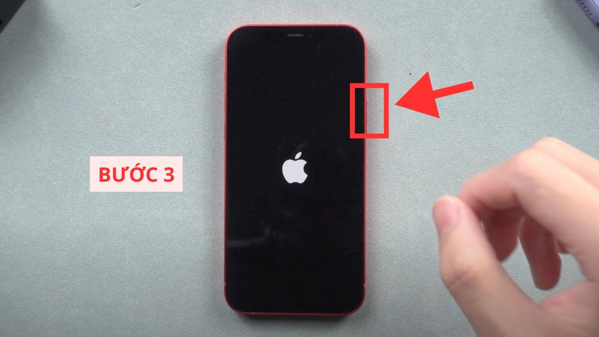 Nhấn và giữ nút Nguồn cho đến xuất hiện logo Táo
