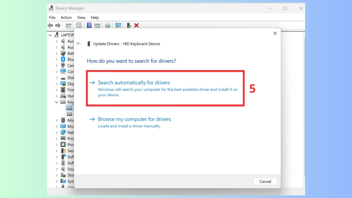 Chọn tiếp vào mục Search automatically for updated driver software
