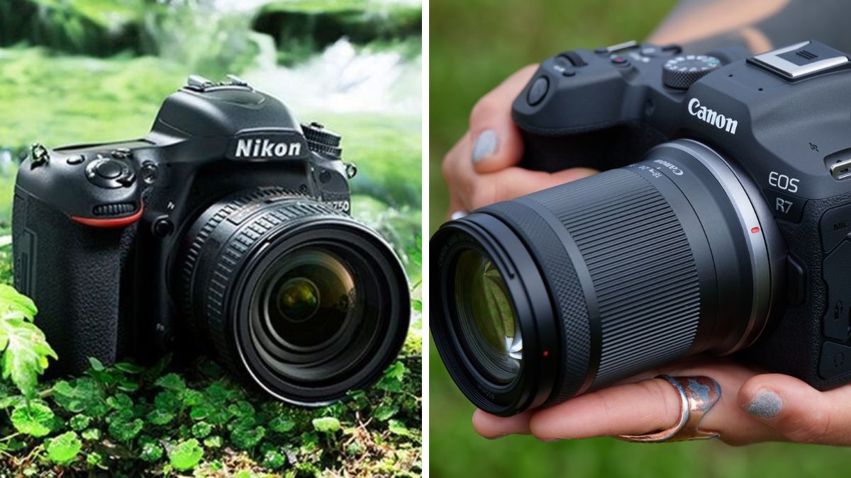 Hai dòng máy ảnh DSLR phổ biến nhất trên thị trường