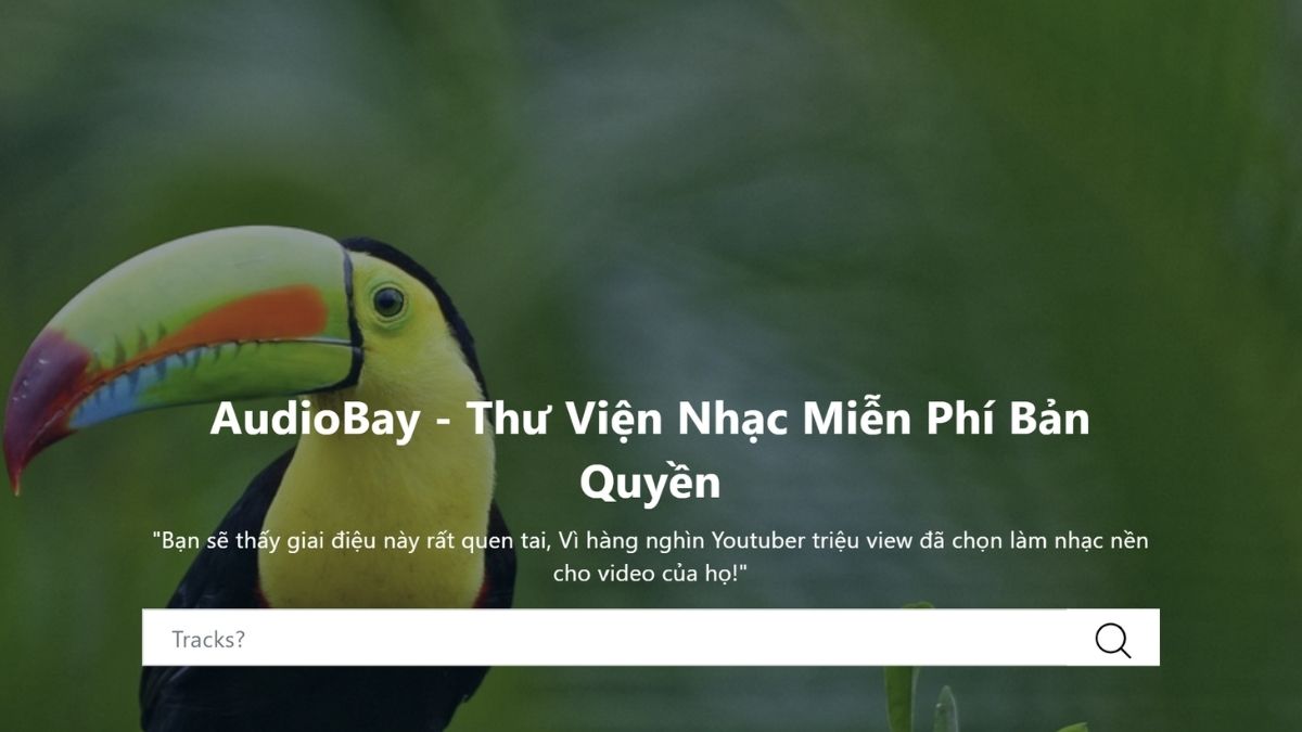 Nền tảng kho nhạc Youtube - AudioBay