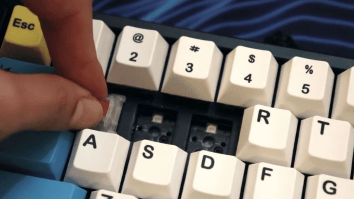 Lắp switch mới thay thế