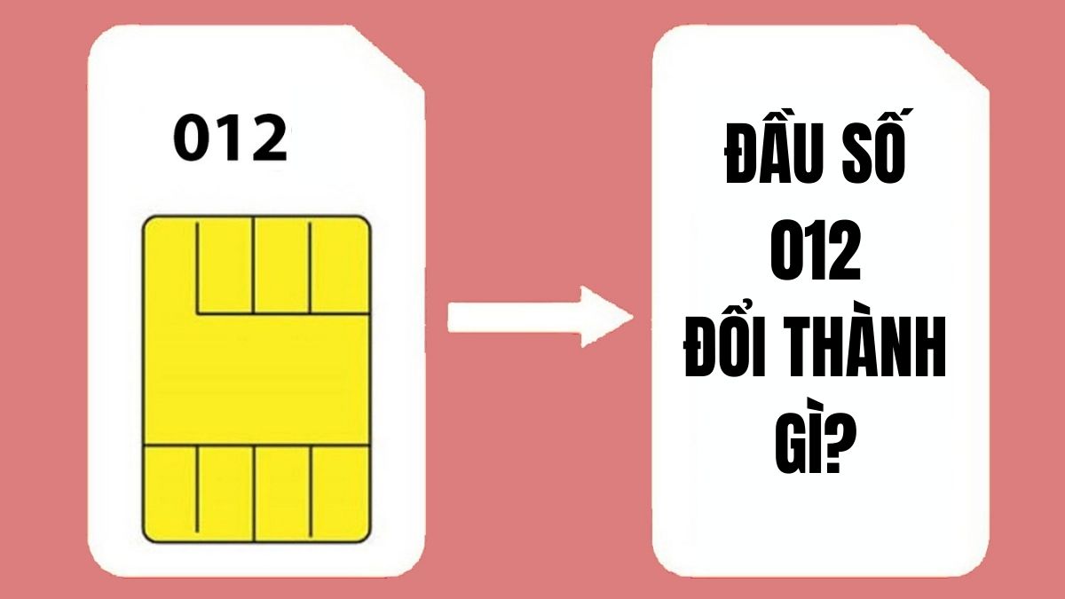 Đầu số 012 đổi thành gì? Cập nhật danh bạ mới nhất