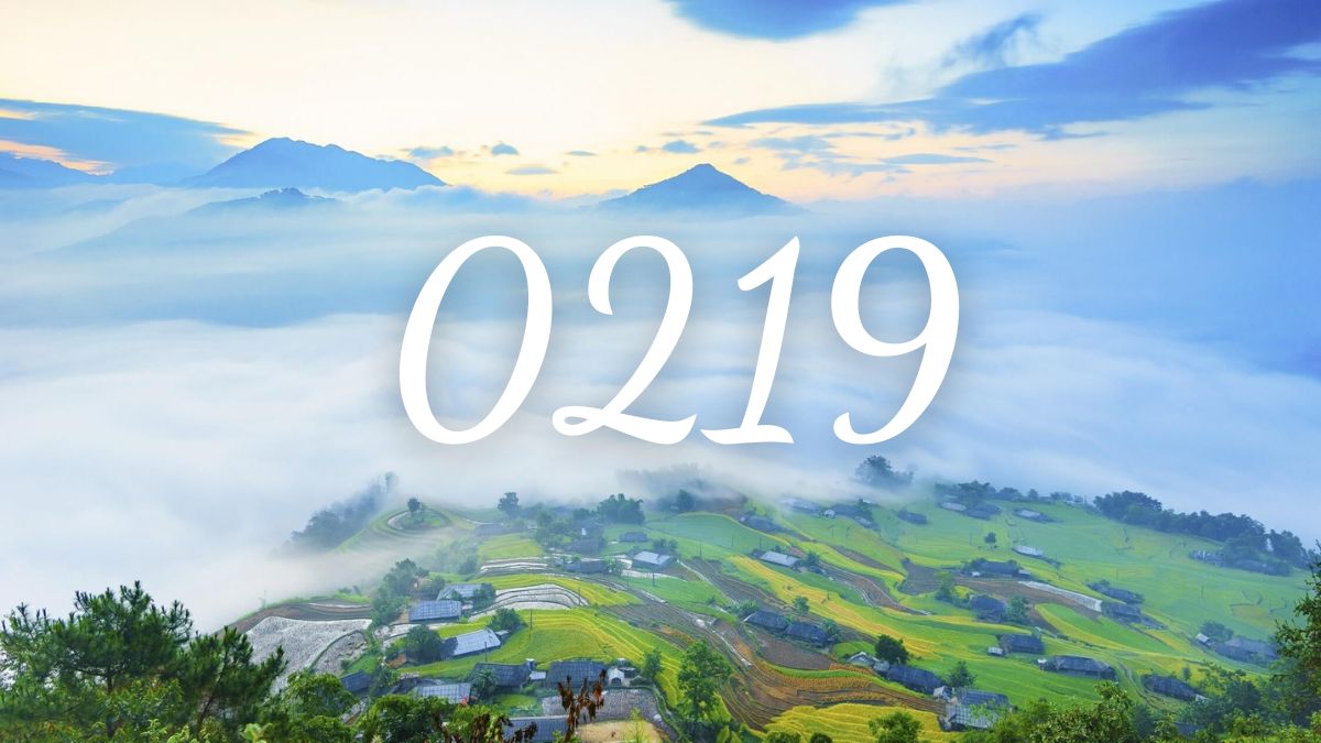 0219 là mạng gì
