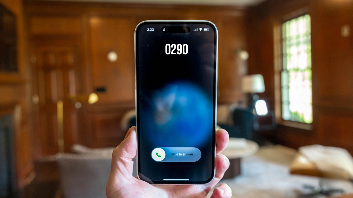 0290 là mã vùng ở đâu