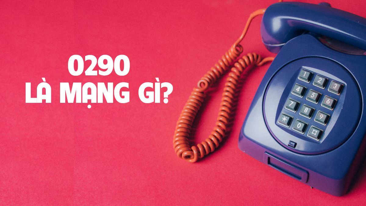 0290 là mạng gì? Ý nghĩa và mã vùng 0290 tỉnh nào?