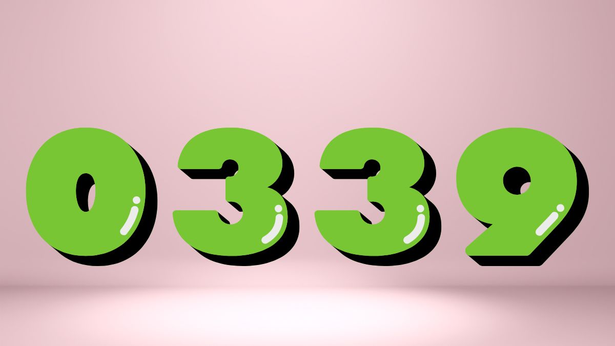 Ý nghĩa đầu số 0339