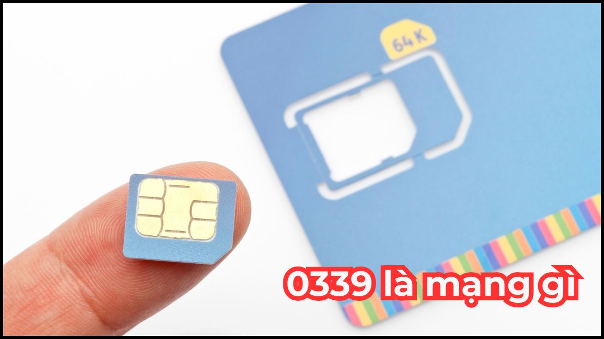 0339 là mạng gì? Ý nghĩa và cách chọn sim đầu số 0339