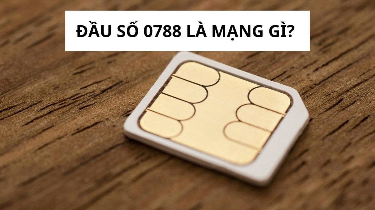 0788 là mạng gì