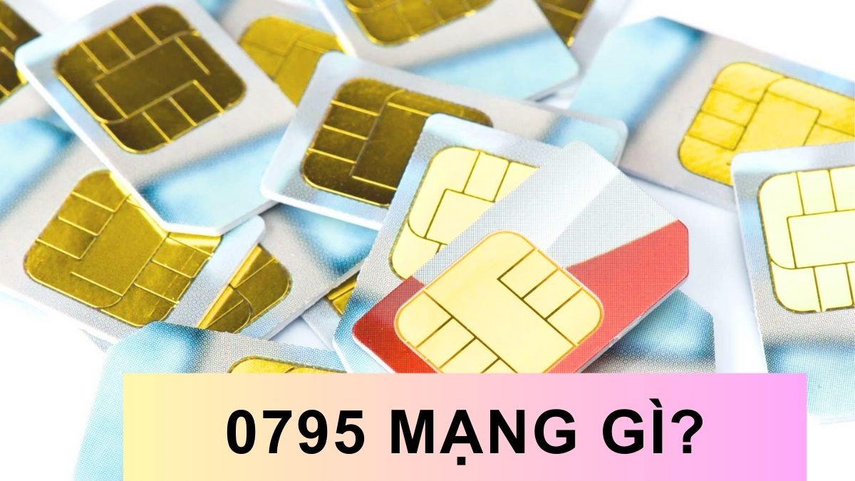 0795 là mạng gì