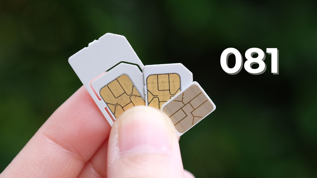 081 là mạng gì