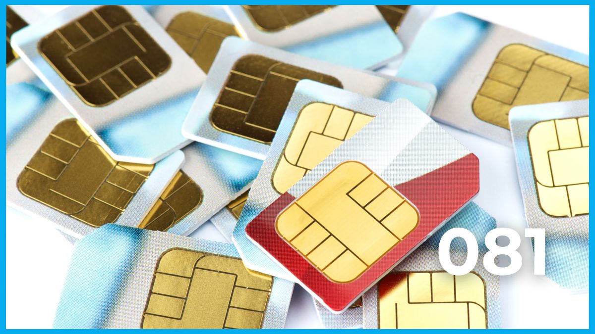 sim 081