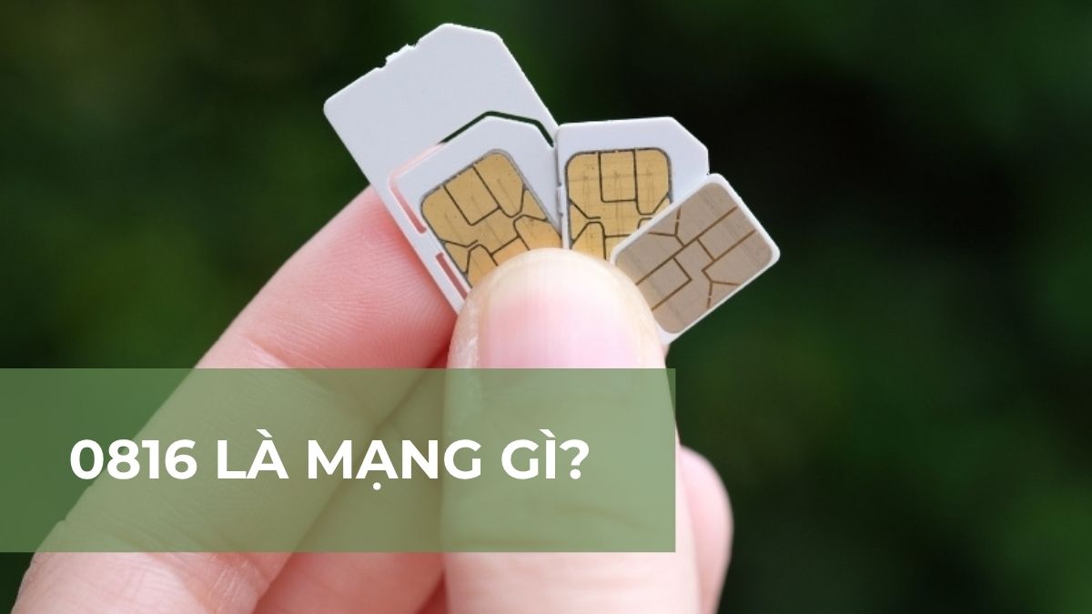 0816 là mạng gì? Ý nghĩa đặc biệt và địa chỉ mua SIM giá tốt 0816 là mạng gì? Ý nghĩa đặc biệt và địa chỉ mua SIM giá tốt