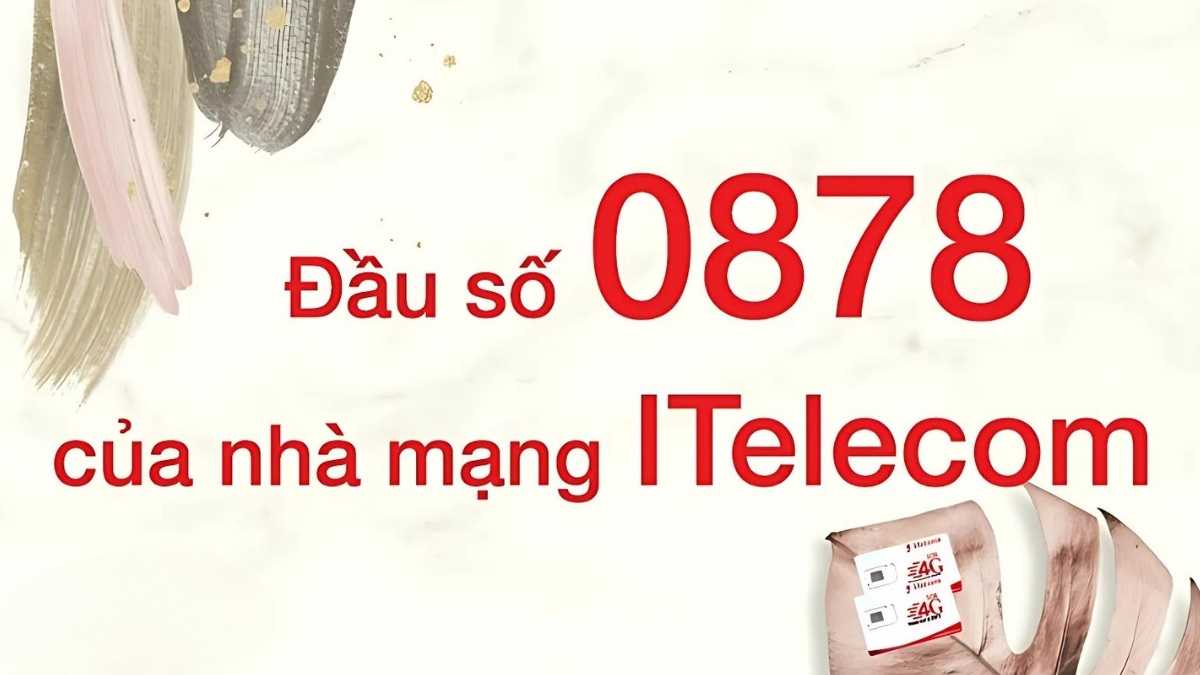 0878 là mạng gì