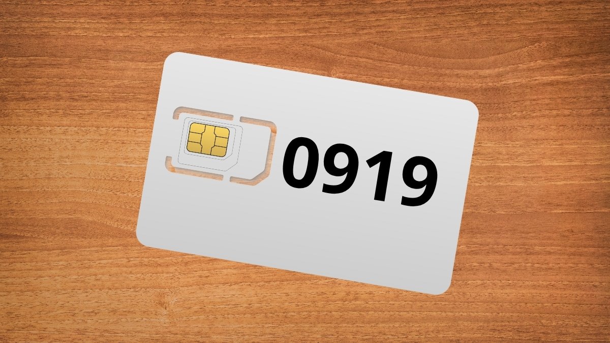 0919 là mạng gì