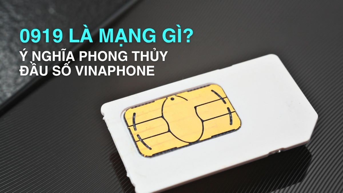 0919 là mạng gì? Ý nghĩa phong thủy đầu số VinaPhone
