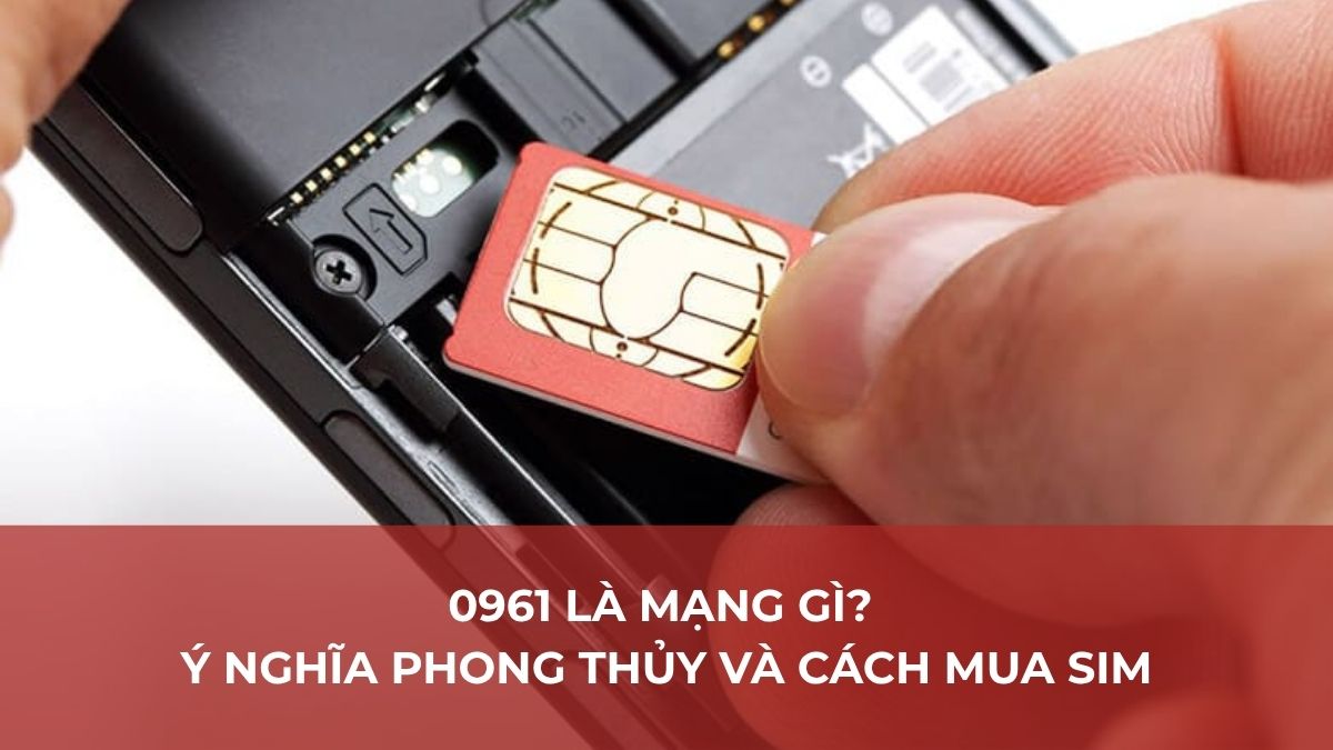 0961 là mạng gì? Ý nghĩa phong thủy và cách mua SIM