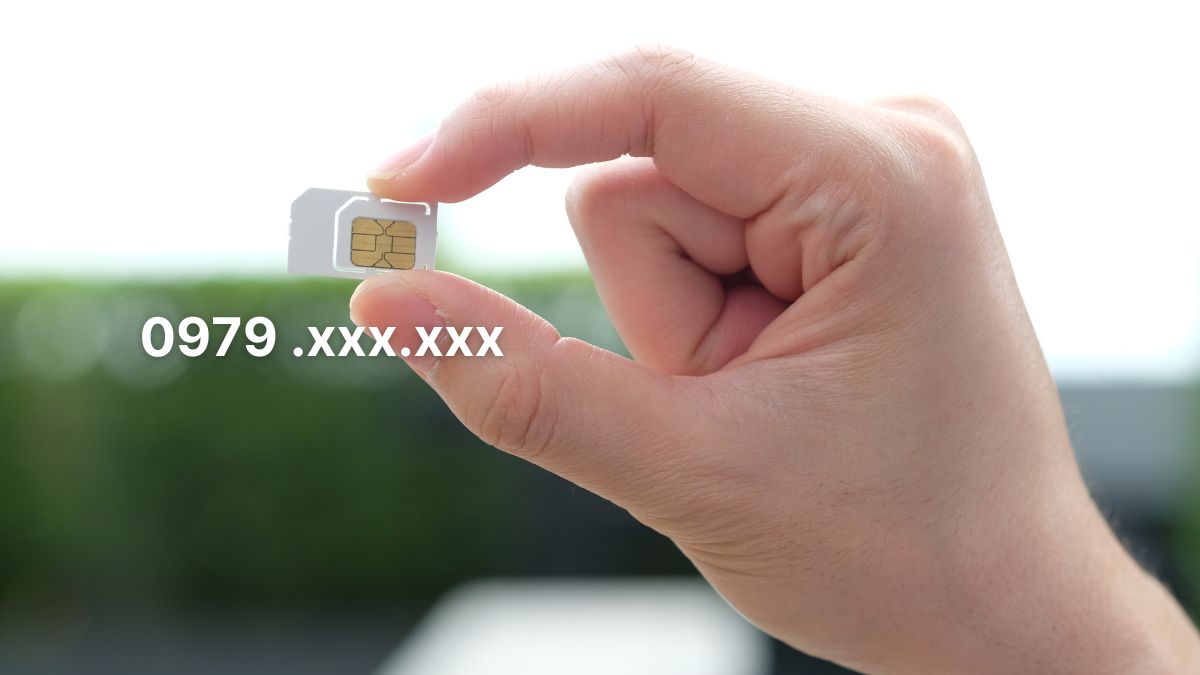 mua sim đầu số 0979