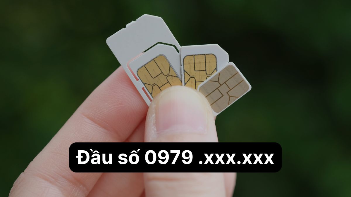 0979 là mạng gì? Ý nghĩa phong thủy và cách chọn SIM hợp mệnh 0979 là mạng gì? Ý nghĩa phong thủy và cách chọn SIM hợp mệnh