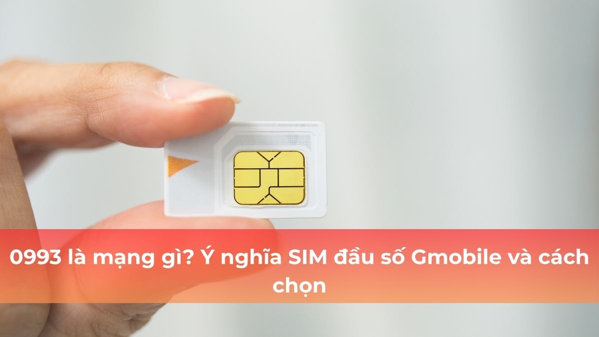 0993 là mạng gì? Ý nghĩa SIM đầu số Gmobile và cách chọn