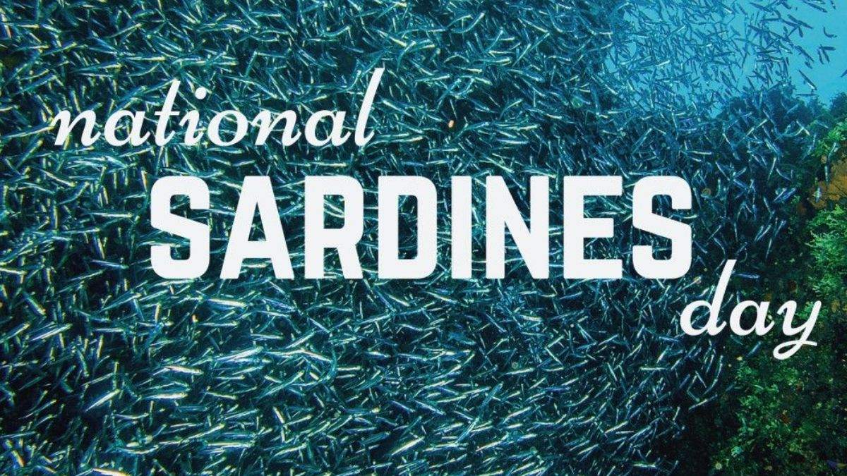 24/11 là ngày đặc biệt gì