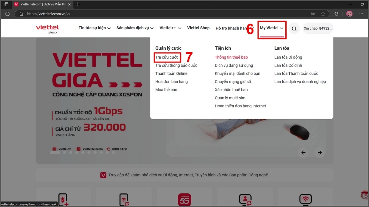 tra gói cước đang sử dụng