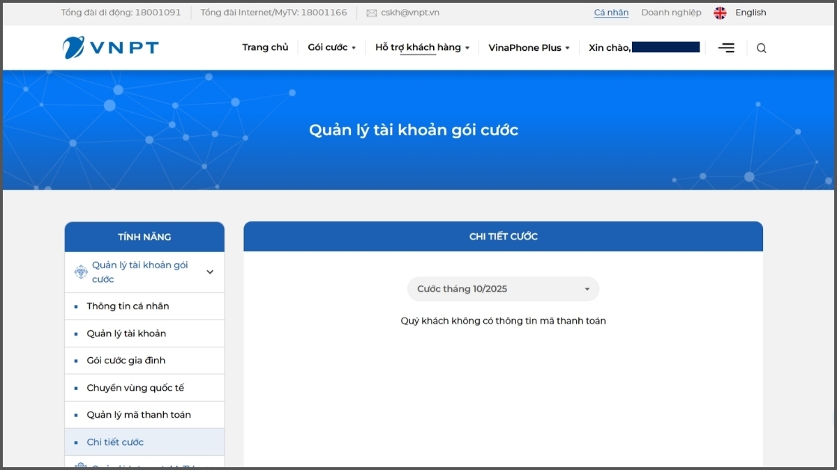 tra gói cước đang sử dụng vinaphone