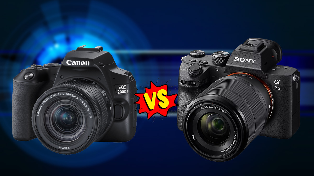 canon vs sony