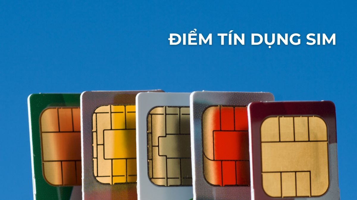 xem điểm tín dụng sim