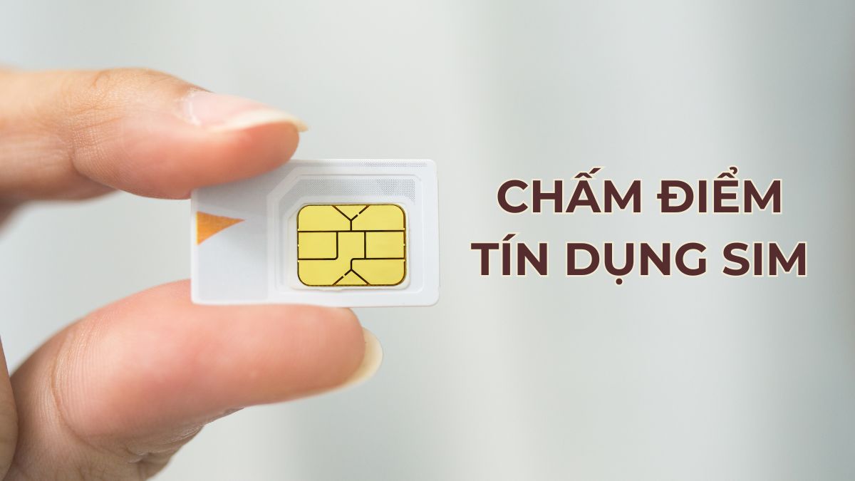 Chấm điểm tín dụng SIM là gì? Cách kiểm tra các nhà mạng chi tiết