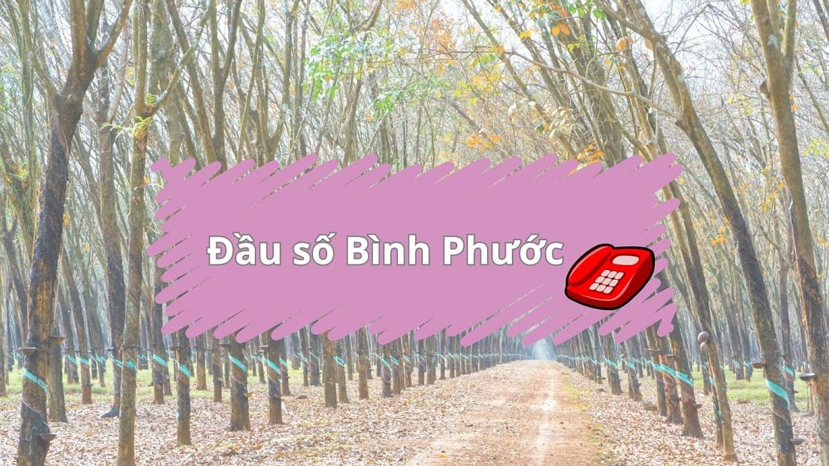 Đầu số Bình Phước là gì? Mã vùng cố định Bình Phước mới nhất