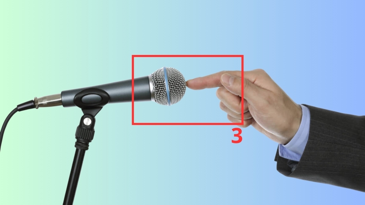 loa kéo không hỗ trợ 2 micro