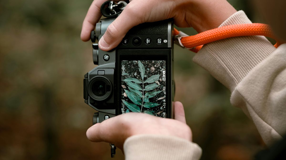 sạc pin máy ảnh sony