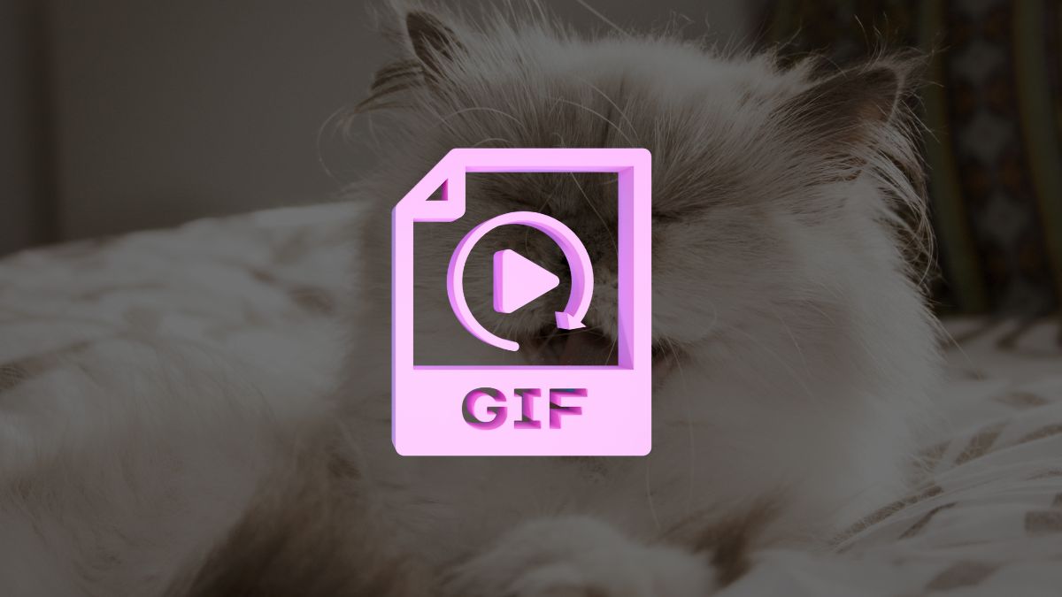 tải gif về điện thoại