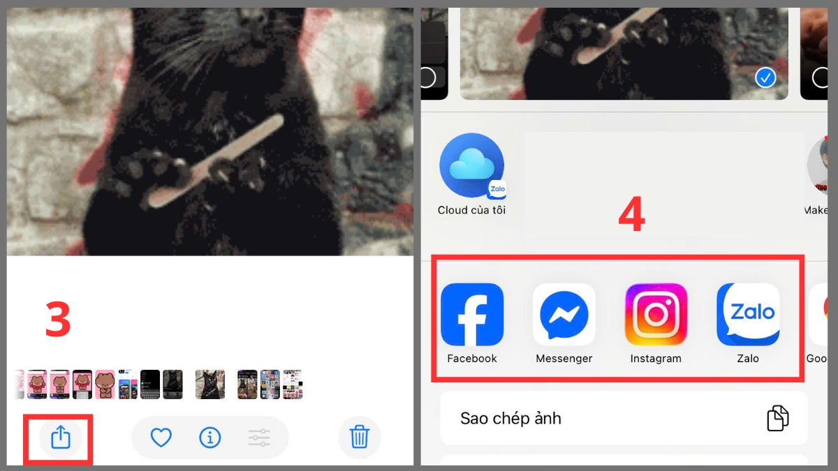 chia sẻ ảnh gif trên điện thoại