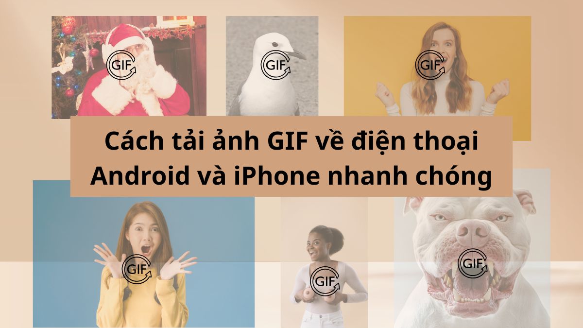 Cách tải GIF về điện thoại Android và iPhone nhanh chóng