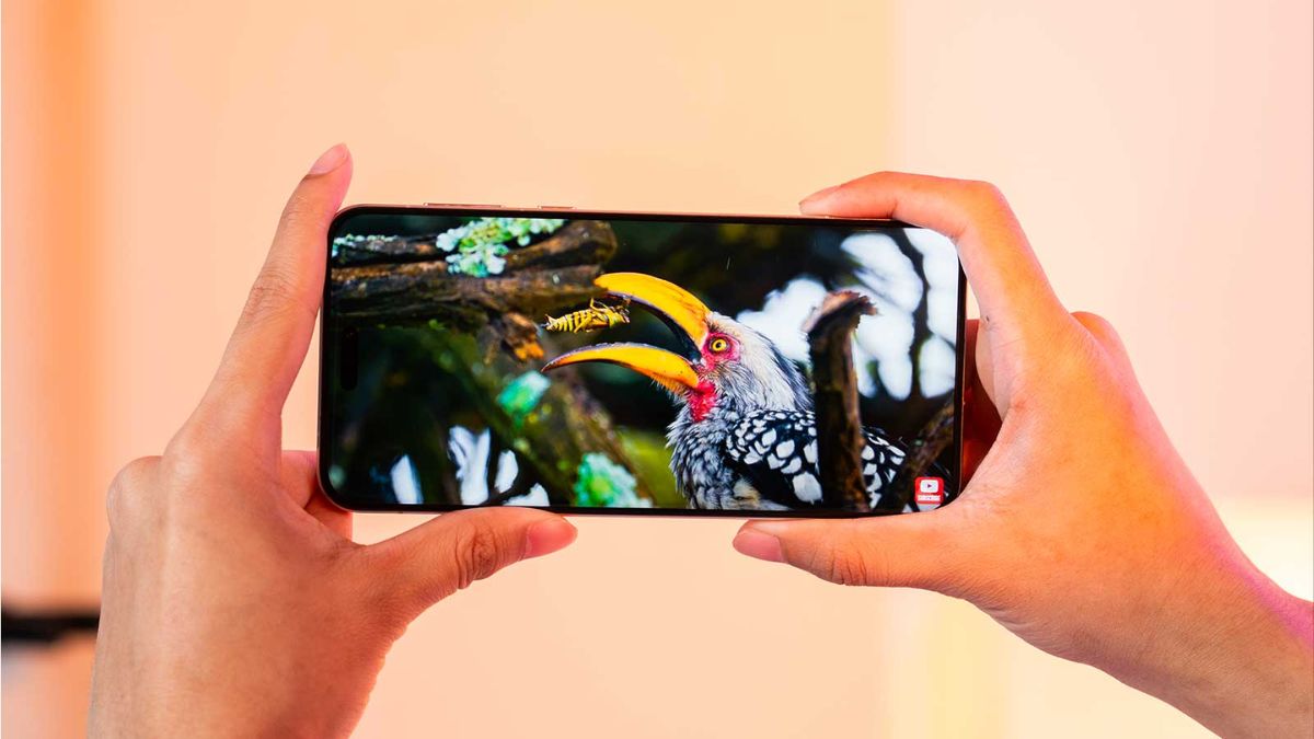 Trải nghiệm màn hình sắc nét giúp người dùng đánh giá điện thoại Honor có tốt không.