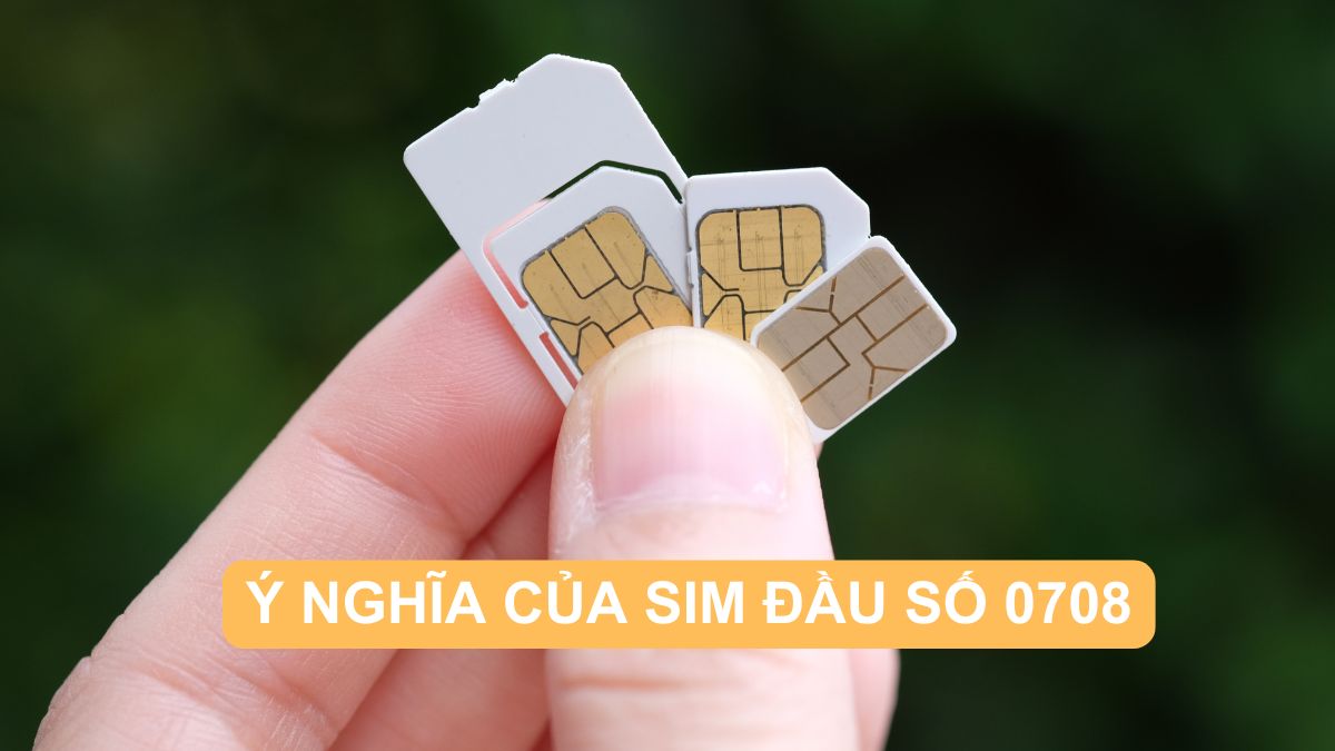 Cầm thẻ SIM nhỏ trên tay để tìm hiểu đầu số 0708 là mạng gì