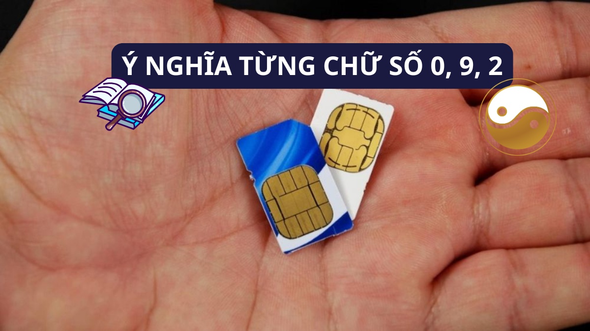 Hai chiếc SIM đặt trên lòng bàn tay để giải mã số 0929 là mạng gì