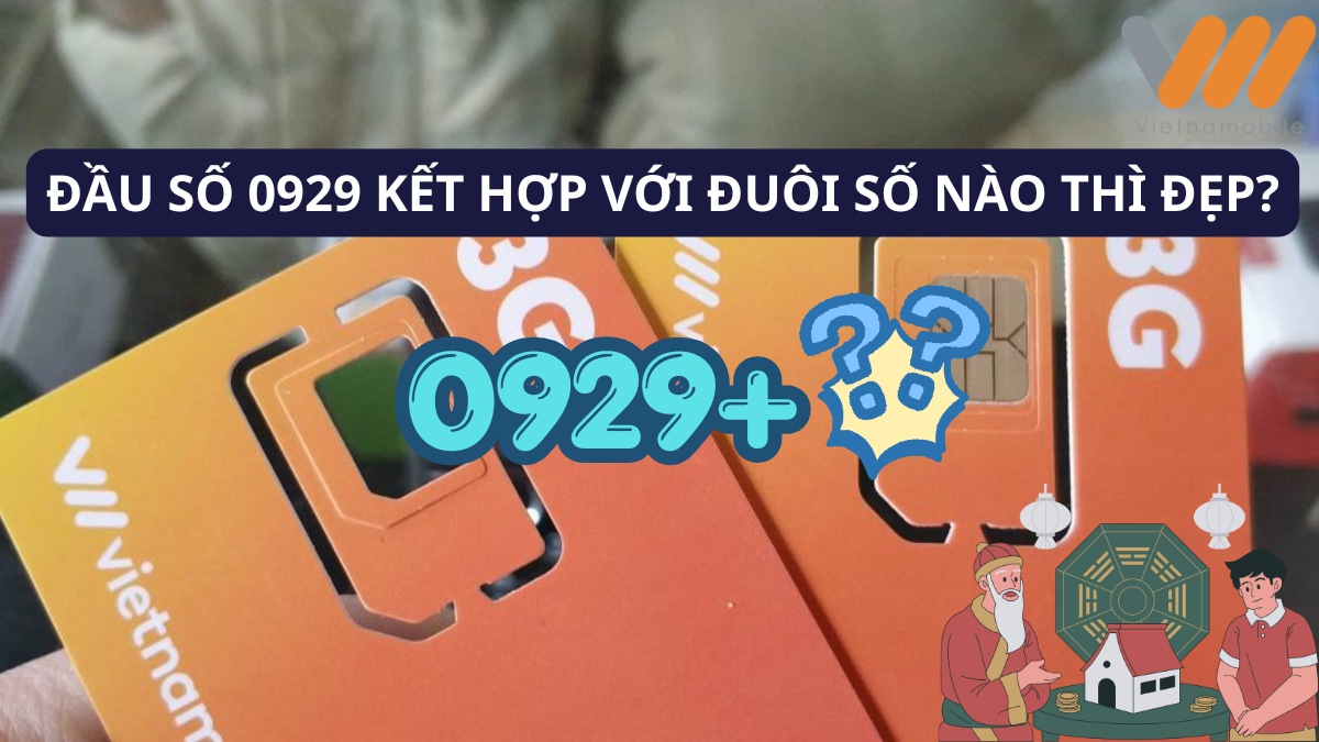 Hai thẻ SIM Vietnamobile 3G hướng dẫn chọn đuôi số đẹp 0929 là mạng gì