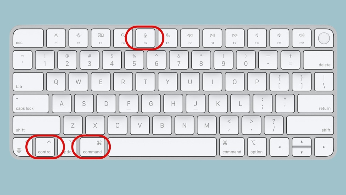 Cách dùng phím Fn trên bàn phím Apple thông qua phím ảo Command + Ctrl + O.