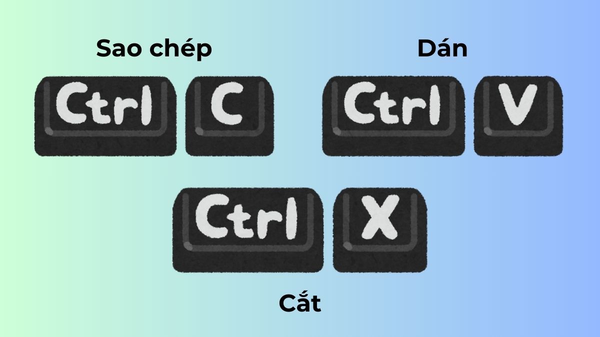Các phím trên bàn phím hỗ trợ tổ hợp phím tắt sao chép và dán nhanh.