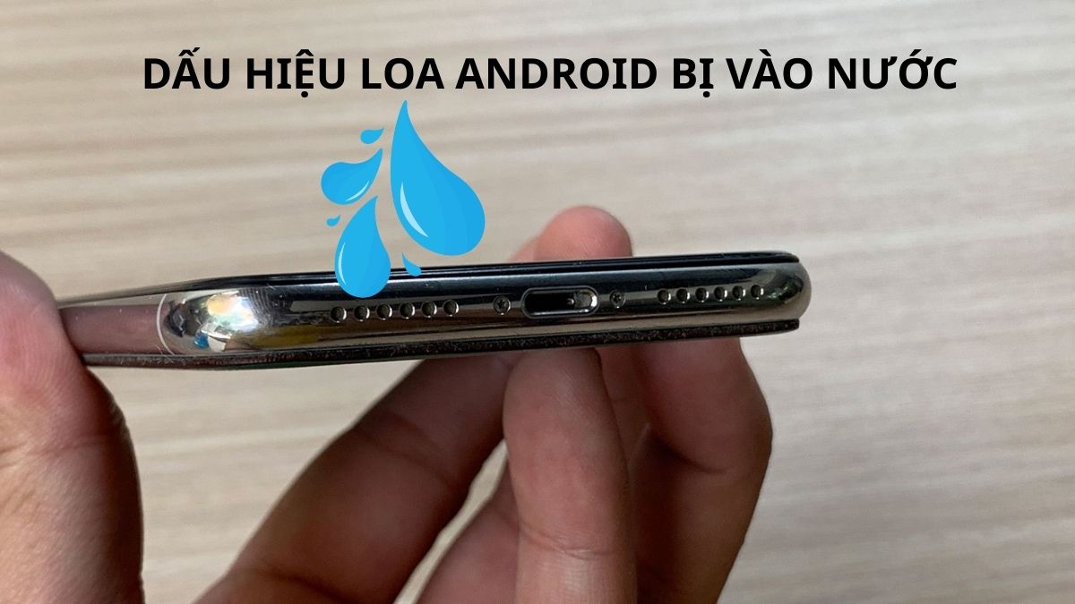 Cận cảnh lỗ loa dưới của điện thoại bị dính nước gây hiện tượng âm thanh rè.