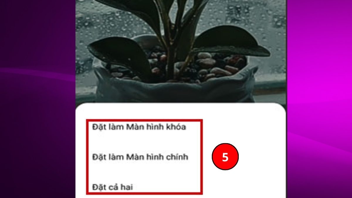 Xác nhận vị trí hiển thị video làm hình nền trên điện thoại Xiaomi.